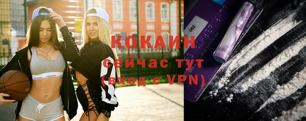 шишки Заволжье