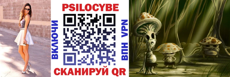 Псилоцибиновые грибы Cubensis  даркнет сайт  Усть-Илимск 
